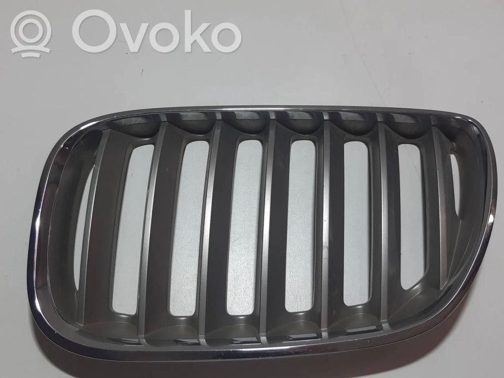 BMW X5 E53 Priekšējais režģis 