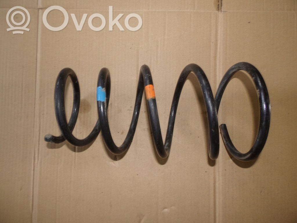 Front coil spring