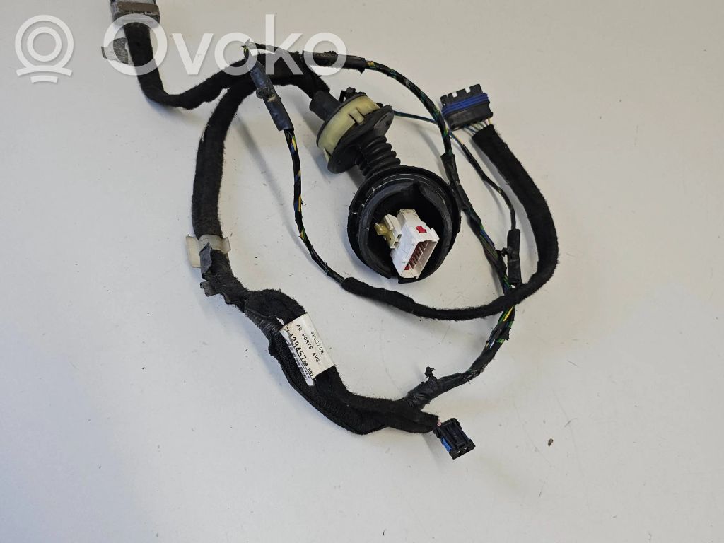 Other control units/modules   9643845780,438457,43845,0410031219