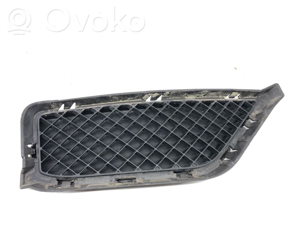 Front bumper lower grill   7303754