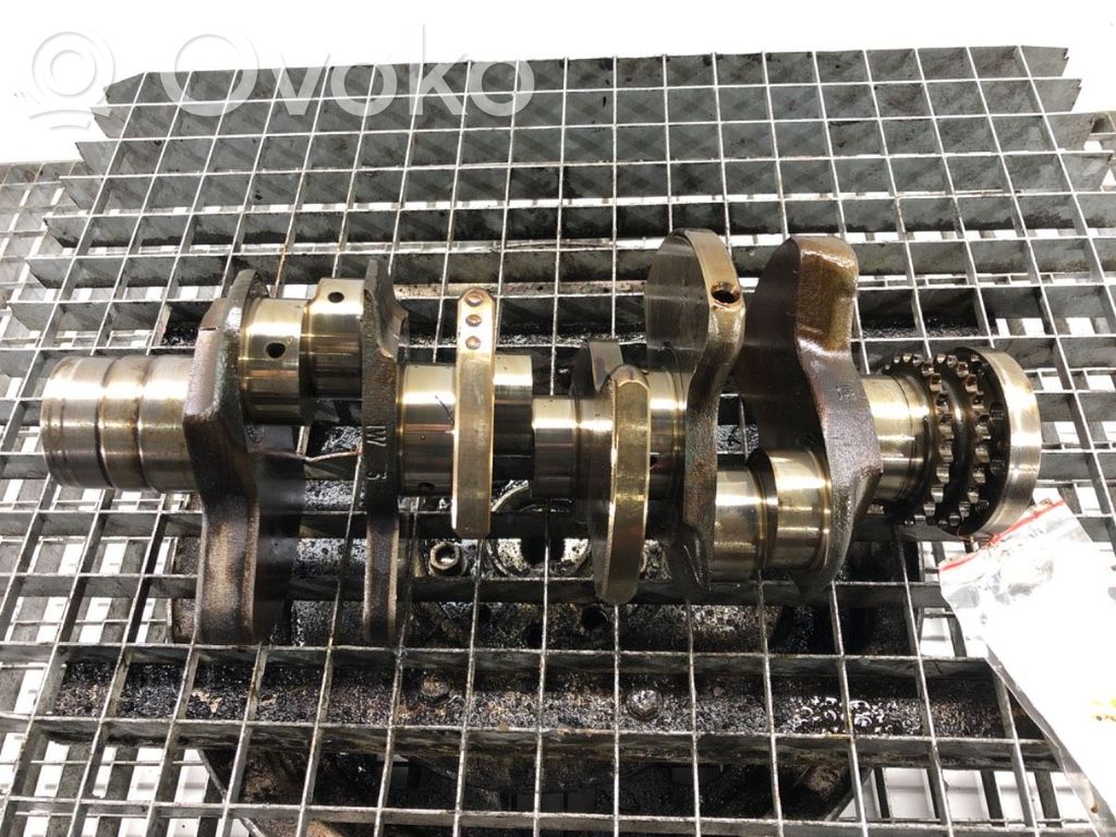 Audi A6 S6 C6 4F Kampiakseli 