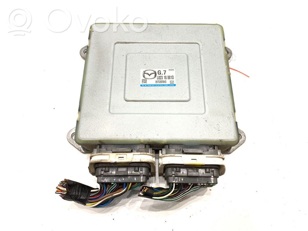 Engine control unit/module ECU