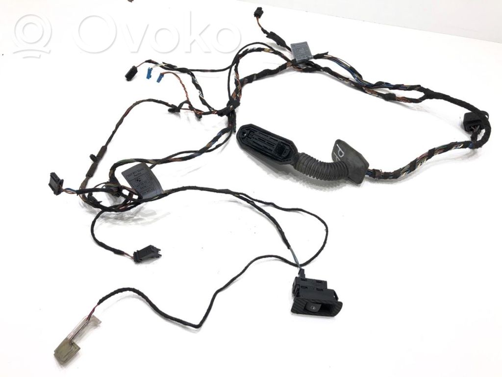 BMW X6 E71 Cableado de puerta delantera 