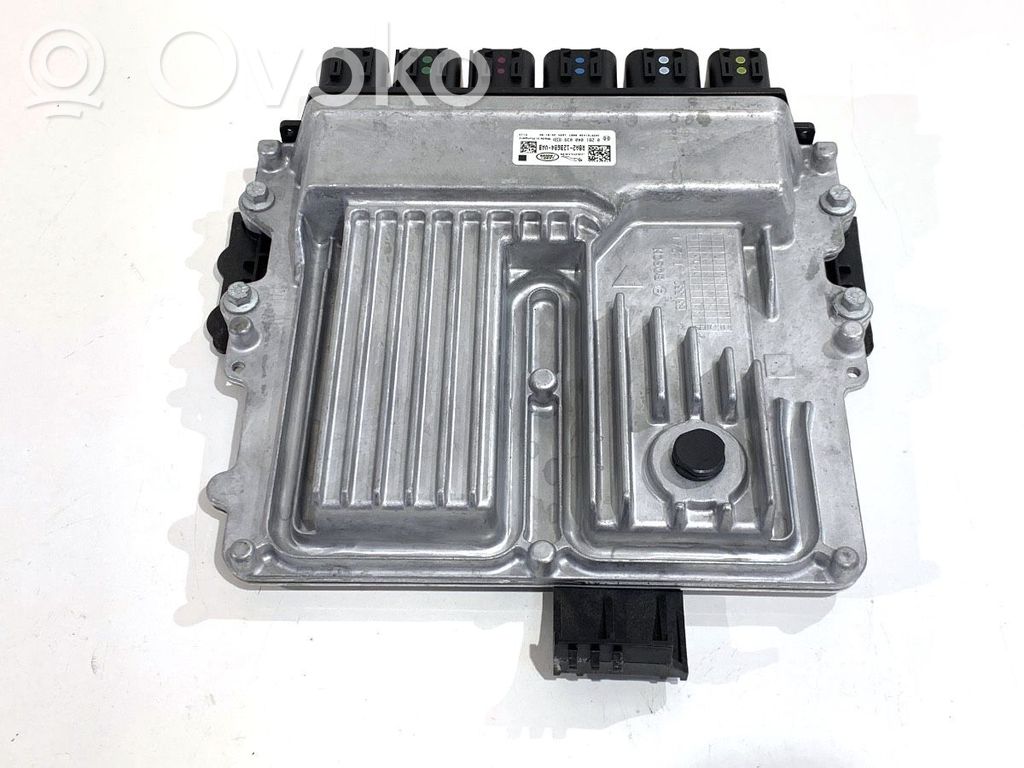 Engine control unit/module ECU