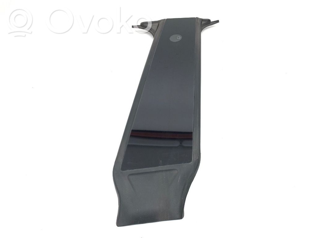Tesla Model Y Other sill/pillar trim element 