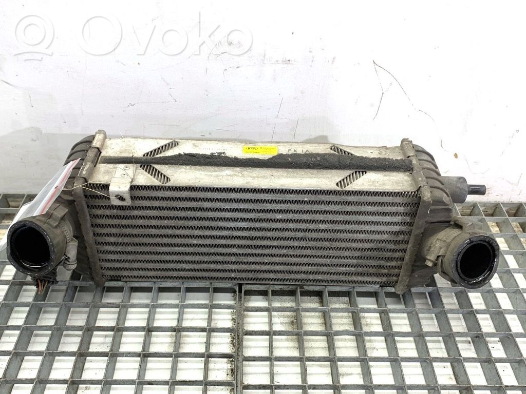 Radiador intercooler   282702A850