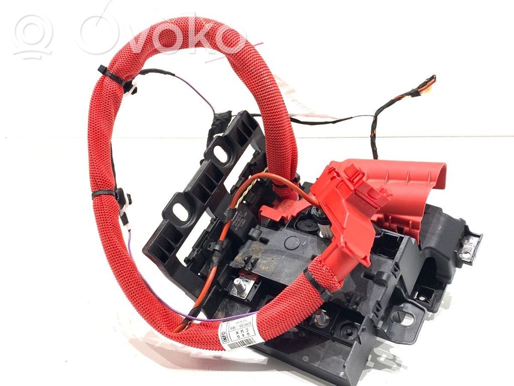BMW X4 G02 Positive cable (battery) 