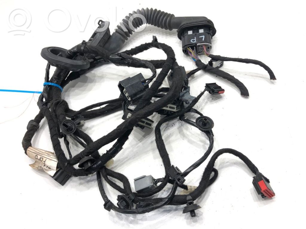 Cableado de puerta delantera   L1GT14631EAA