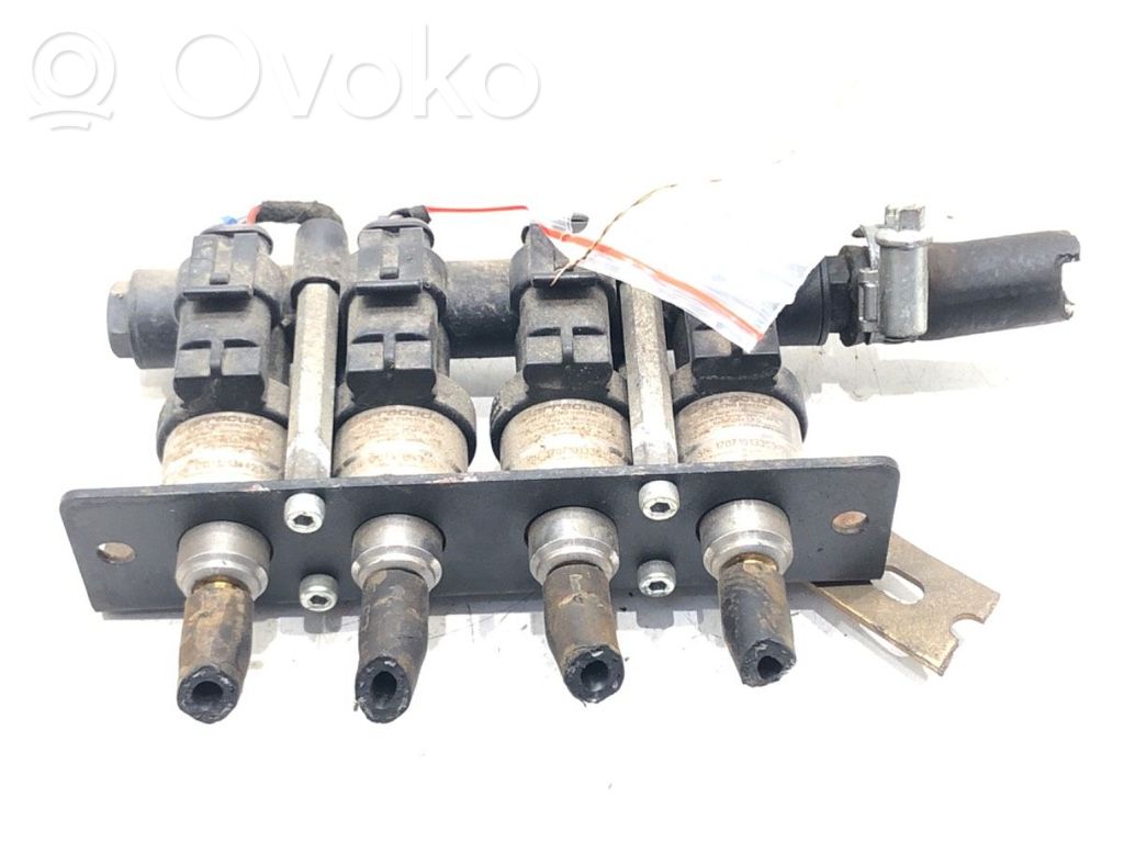 Inyector de gas GLP