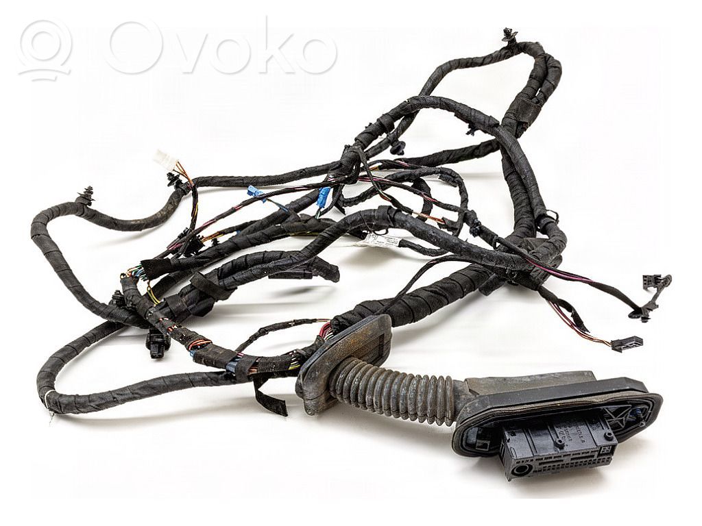 BMW 5 F10 F11 Faisceau de câblage de porte avant