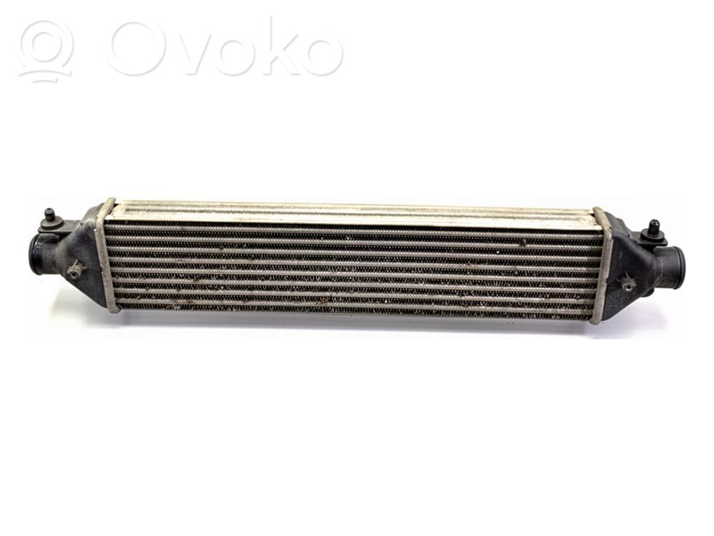 Fiat Bravo Radiatore intercooler