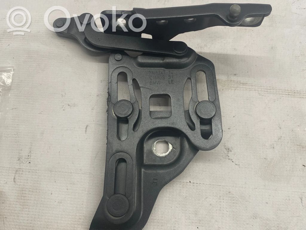 BMW X5 E70 Engine bonnet/hood hinges 