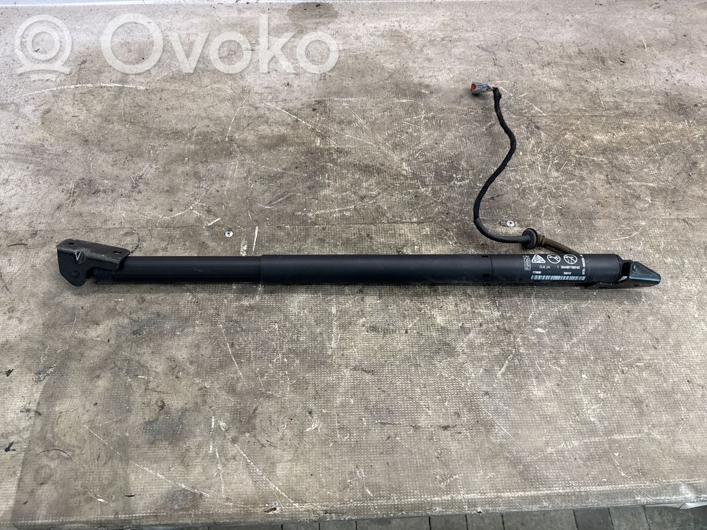 Ford Focus Tailgate/trunk strut/damper 