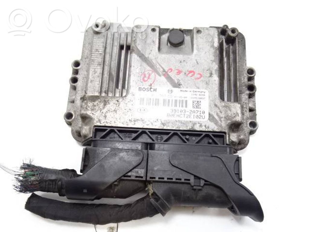Engine control unit/module   391032A710,1039S18097,0281013569