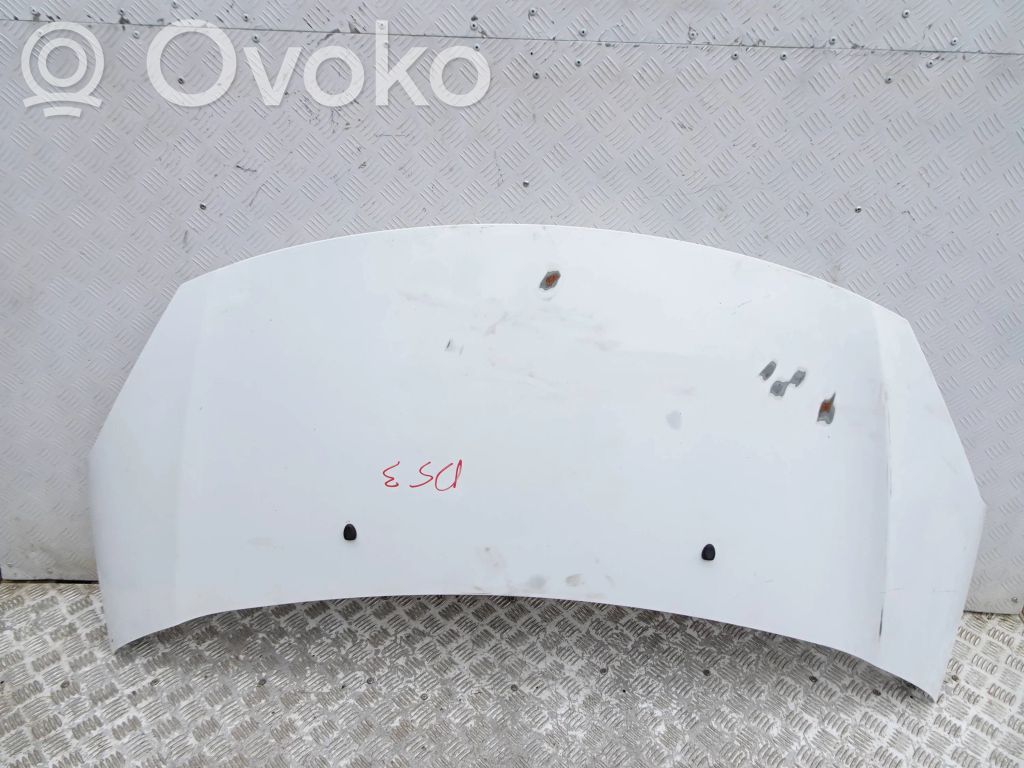 Dzinēja pārsegs (vāks)