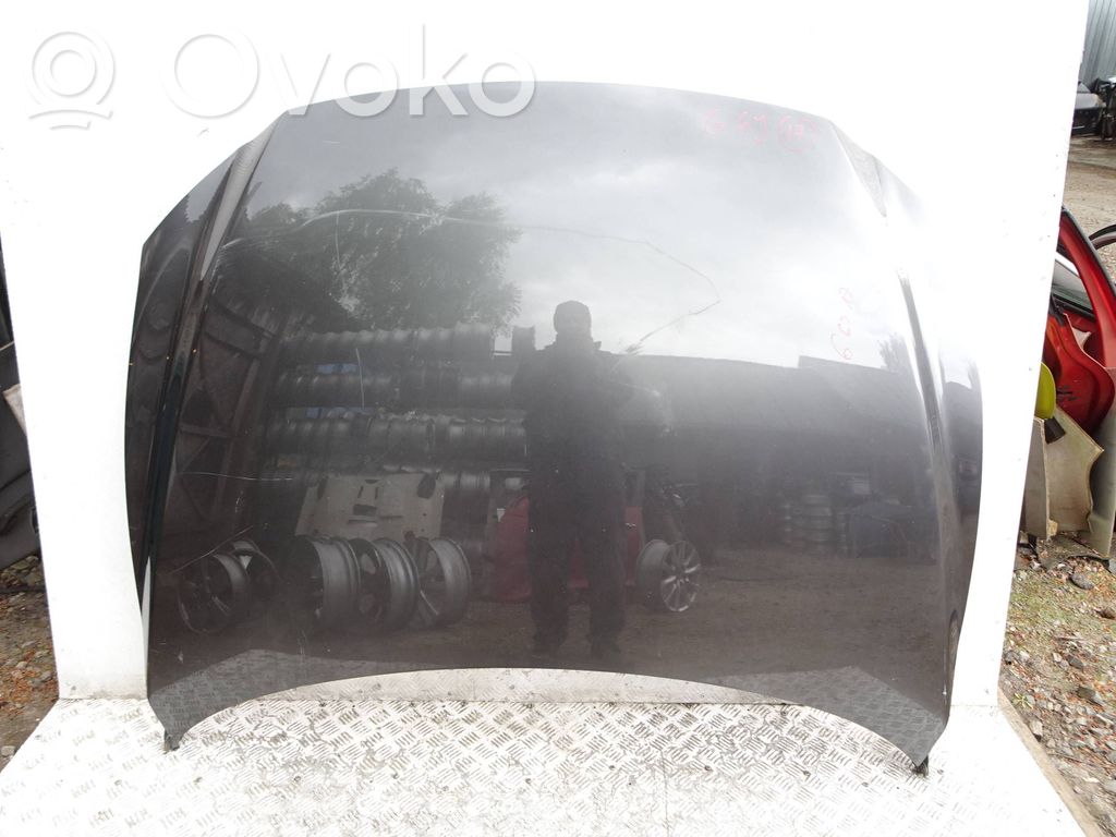 Engine bonnet/hood   TRHEF