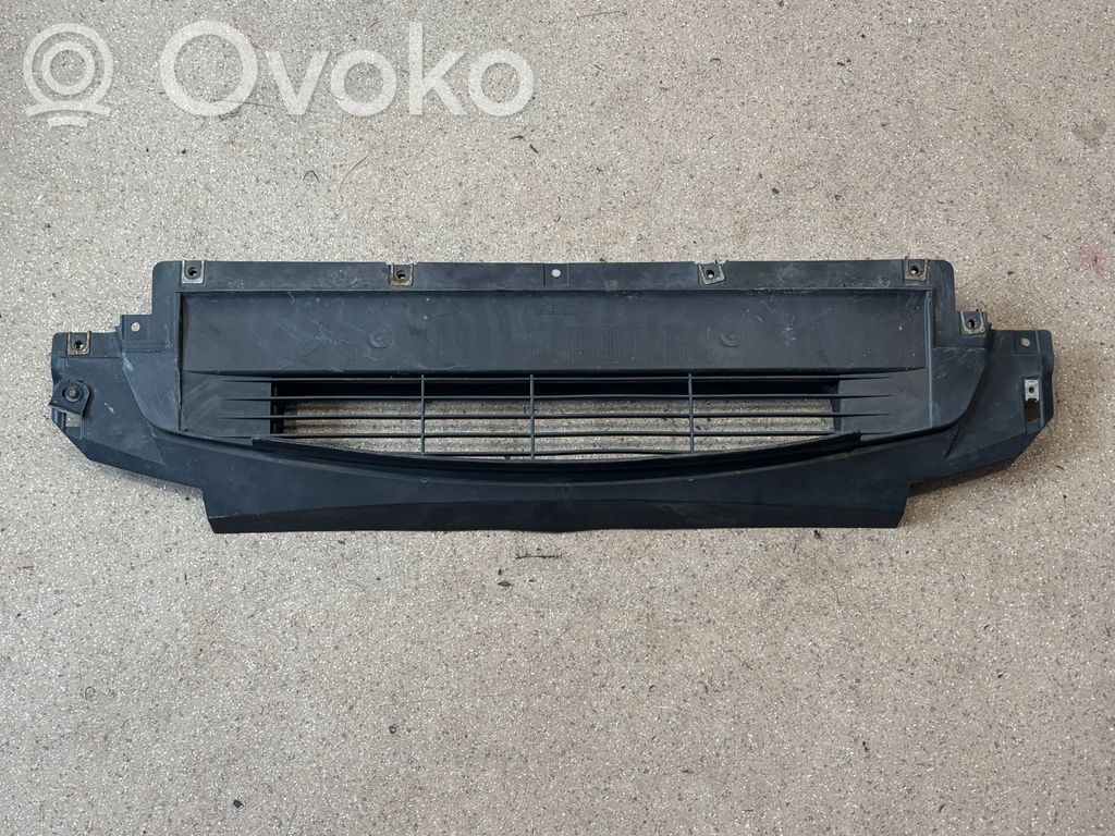 BMW X6 E71 Modanatura separatore del paraurti anteriore 
