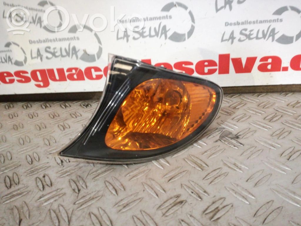 Frontblinker   63137165847