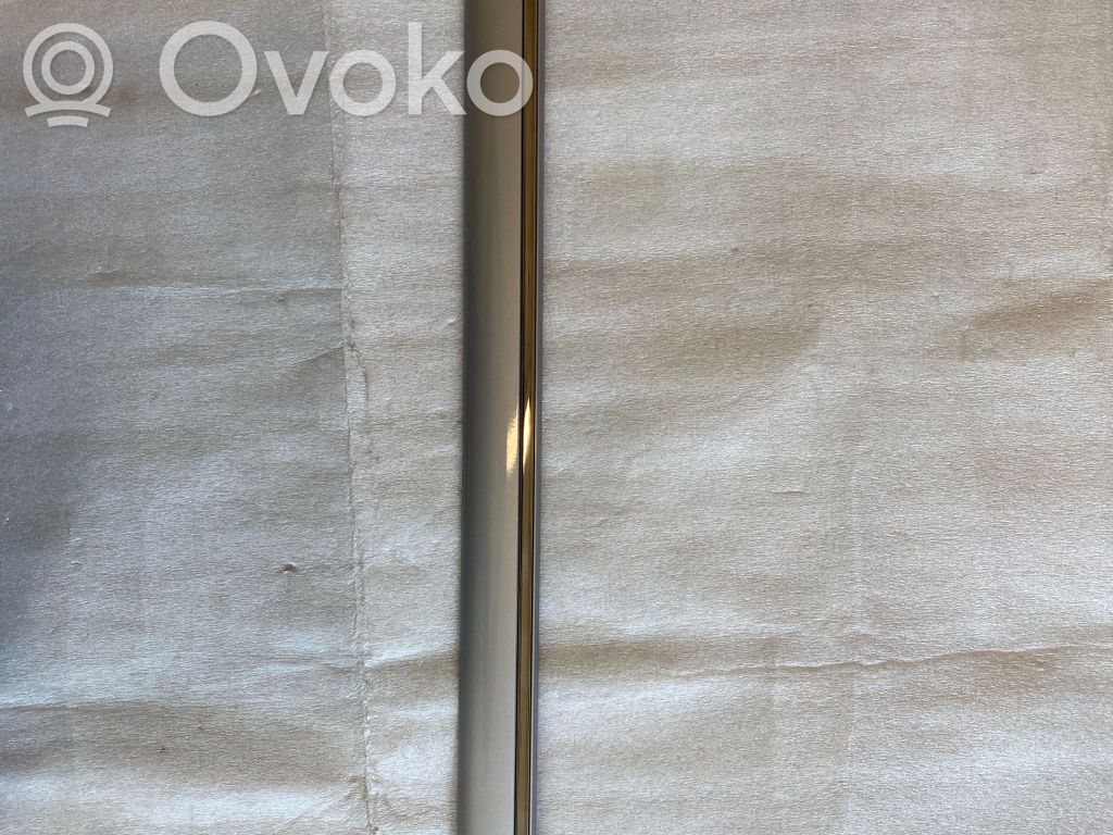 Mercedes-Benz A W168 Front door trim (molding) 