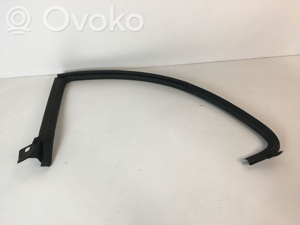 Volkswagen PASSAT CC Cheder cauciuc ușă spate 