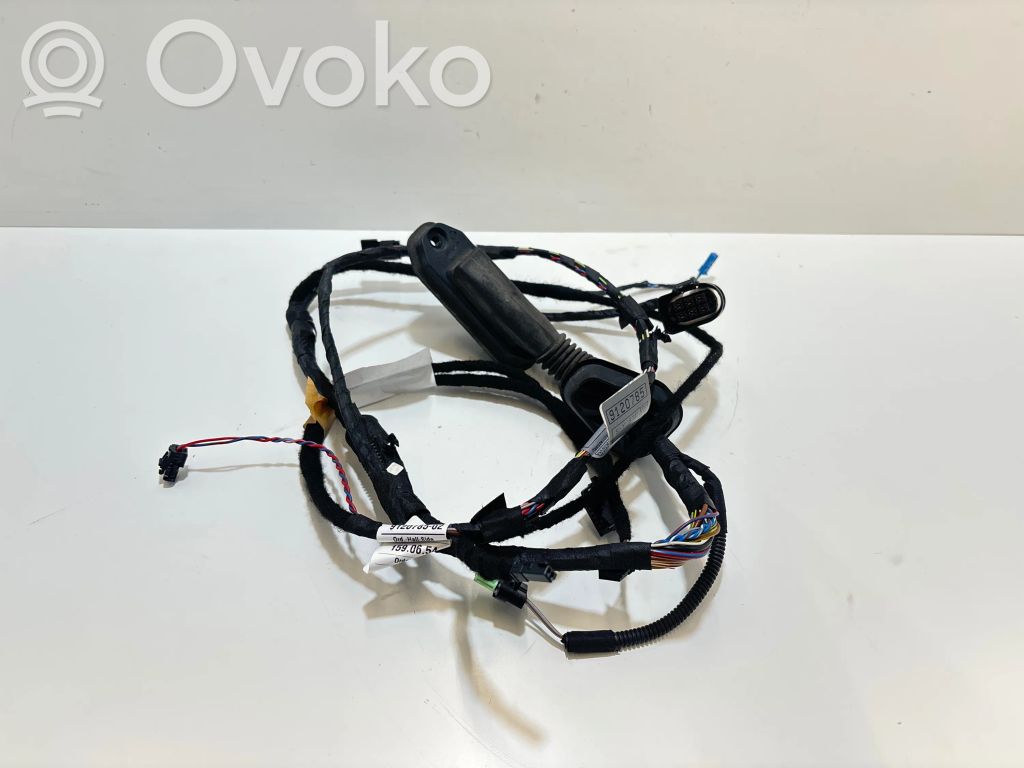 BMW 5 E60 E61 Cableado de puerta delantera 