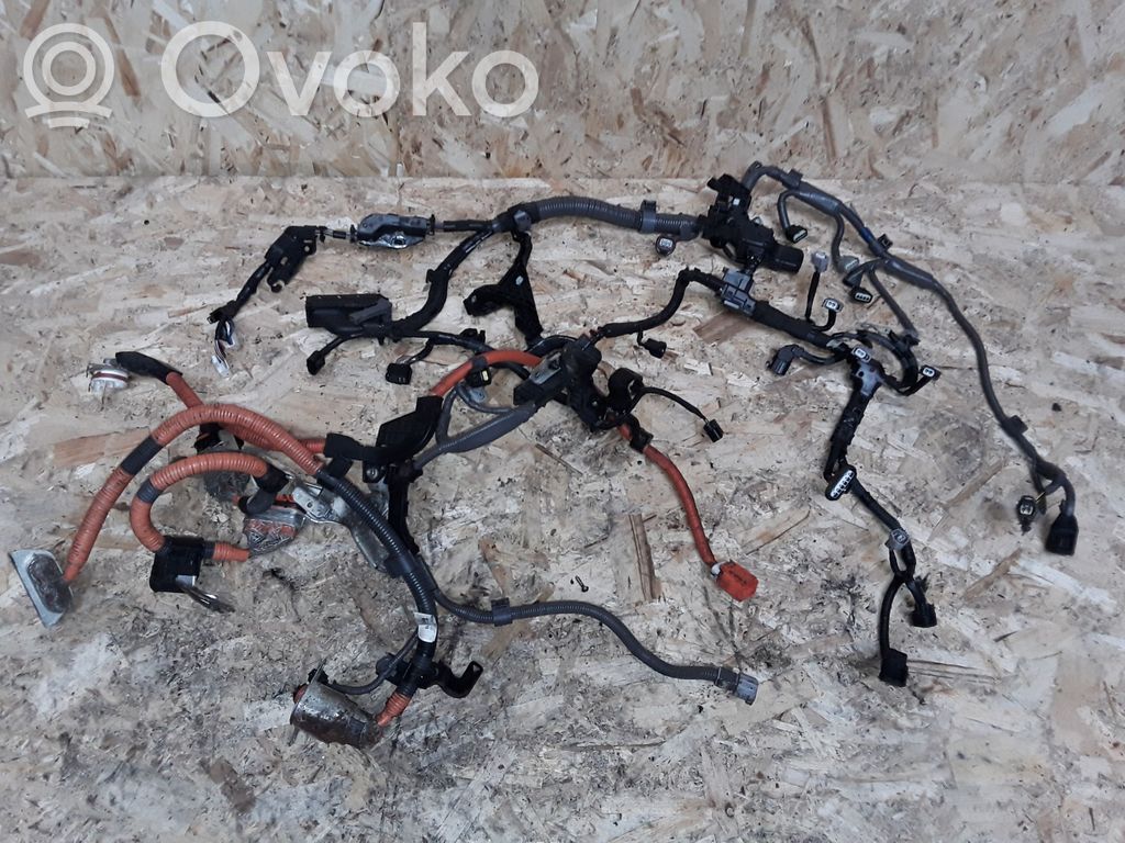 Toyota Prius (XW30) Dzinēja vadu instalācija 