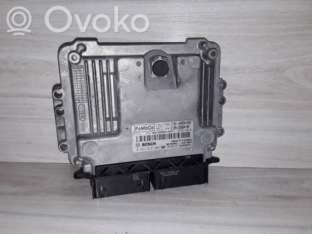 Engine control unit/module   0261S12484,F1B112A650ASB,E1BA12B684BA