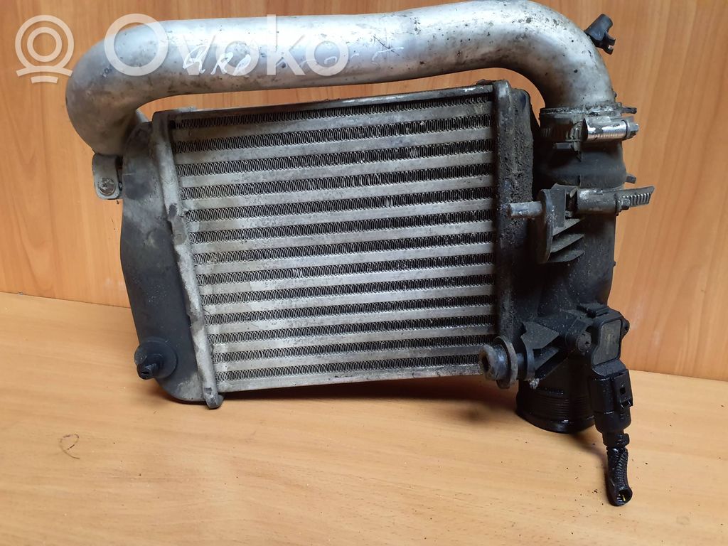 Interkūlerio radiatorius