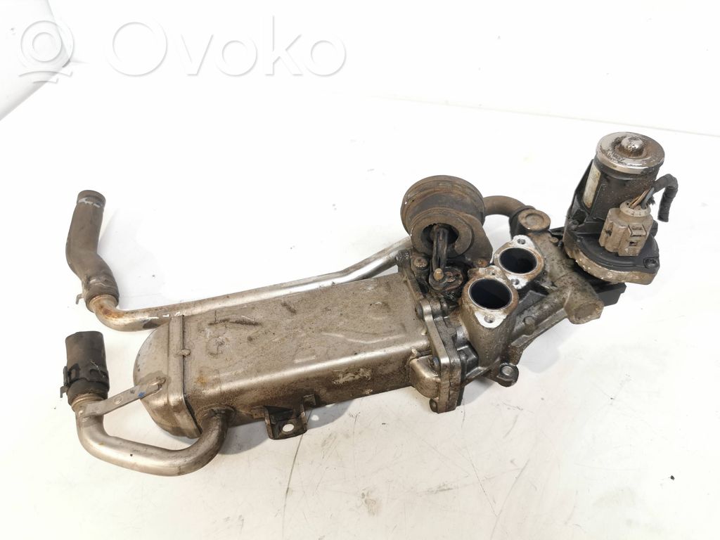 Volkswagen Polo V 6R Válvula EGR 