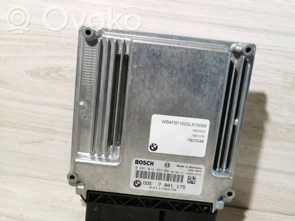 BMW X5 E53 Engine control unit/module 