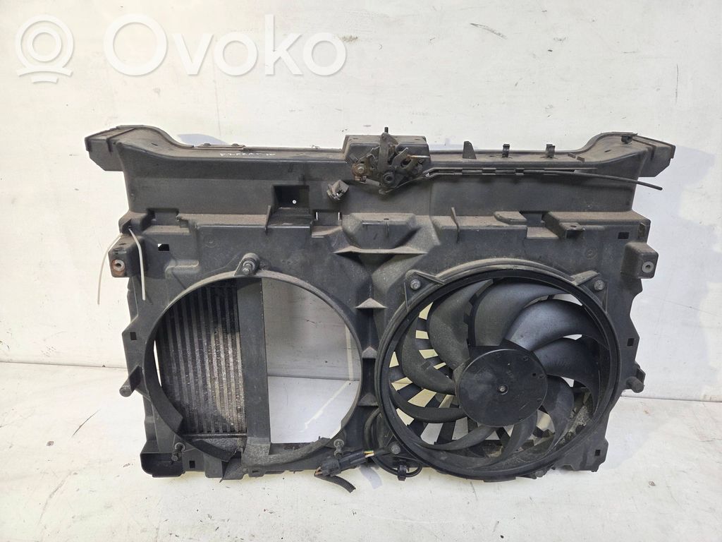 Peugeot Expert Radiatoru panelis 