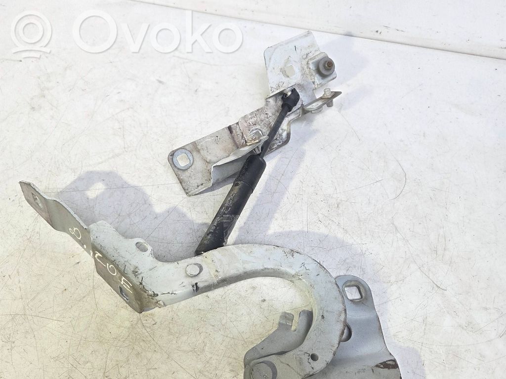 Renault Zoe Dzinēja pārsega eņģe (-es) 
