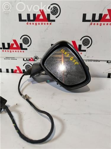 Front door electric wing mirror