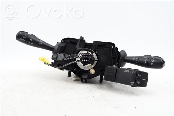 Multifunctional control switch/knob   255671163R