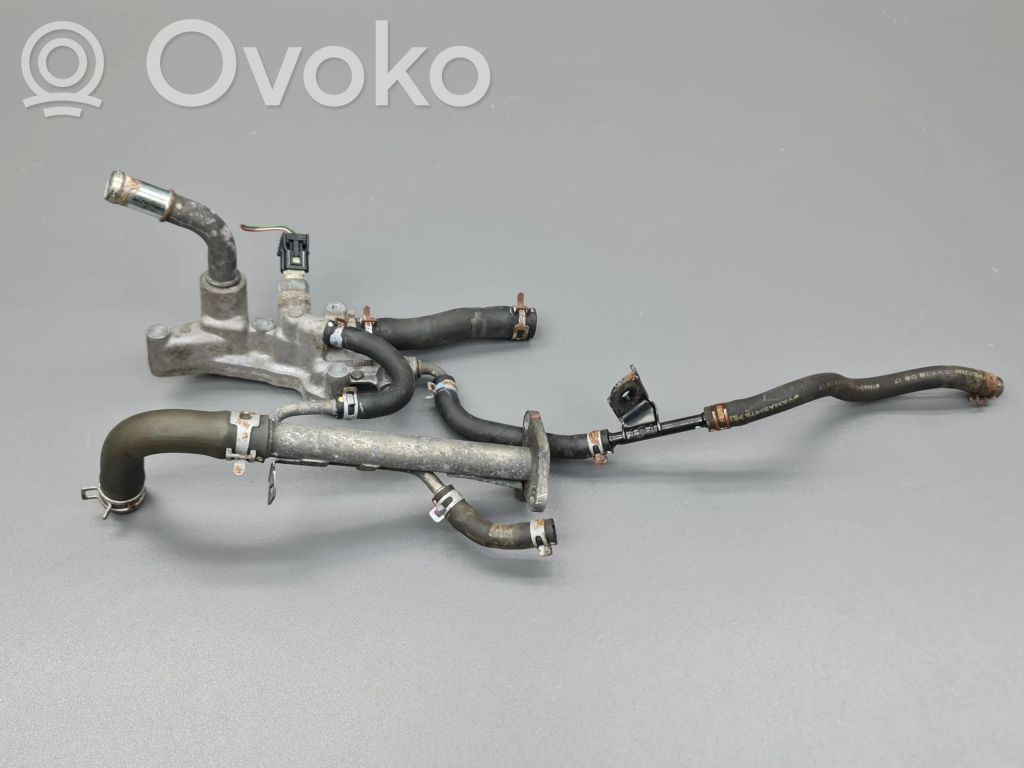 Honda Accord Variklio aušinimo vamzdelis (-ai)/ žarna (-os) 