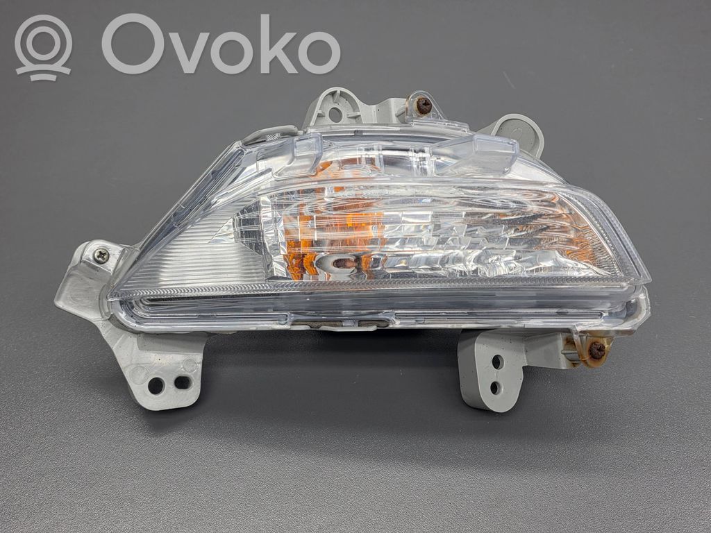 Frontblinker   W1145,K2442