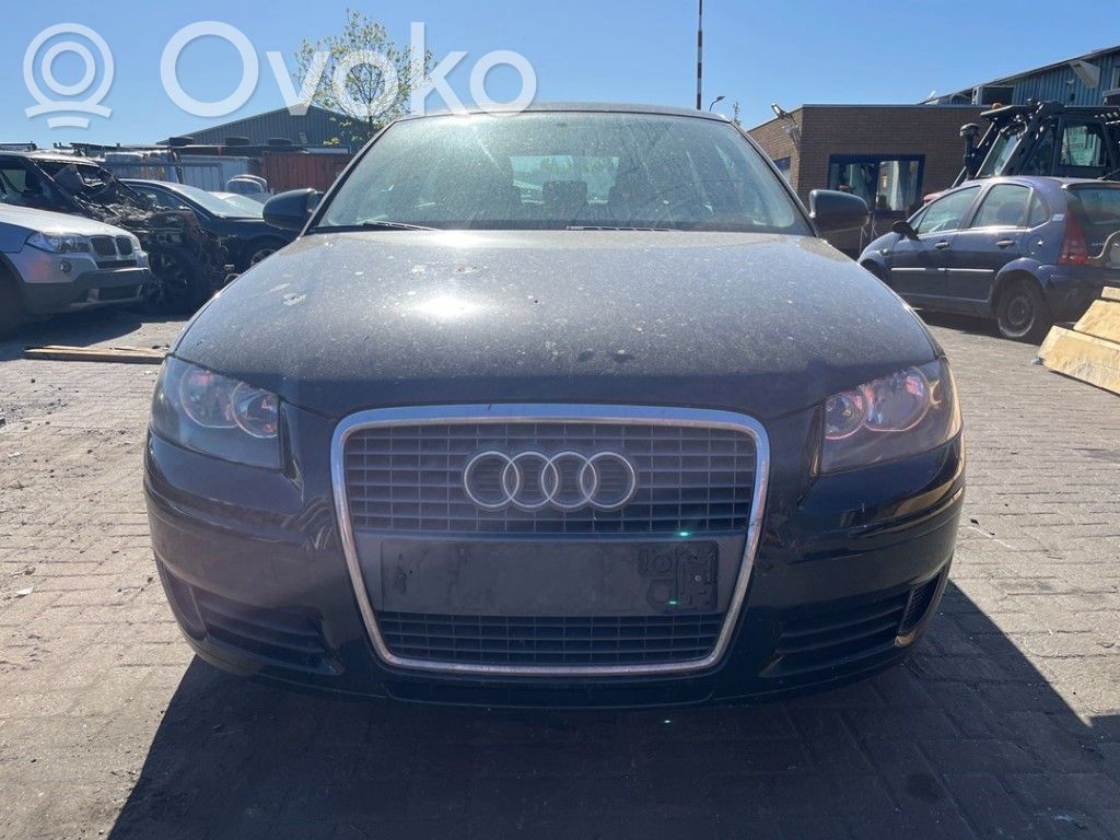 Audi A3 S3 8P Licznik / Prędkościomierz 