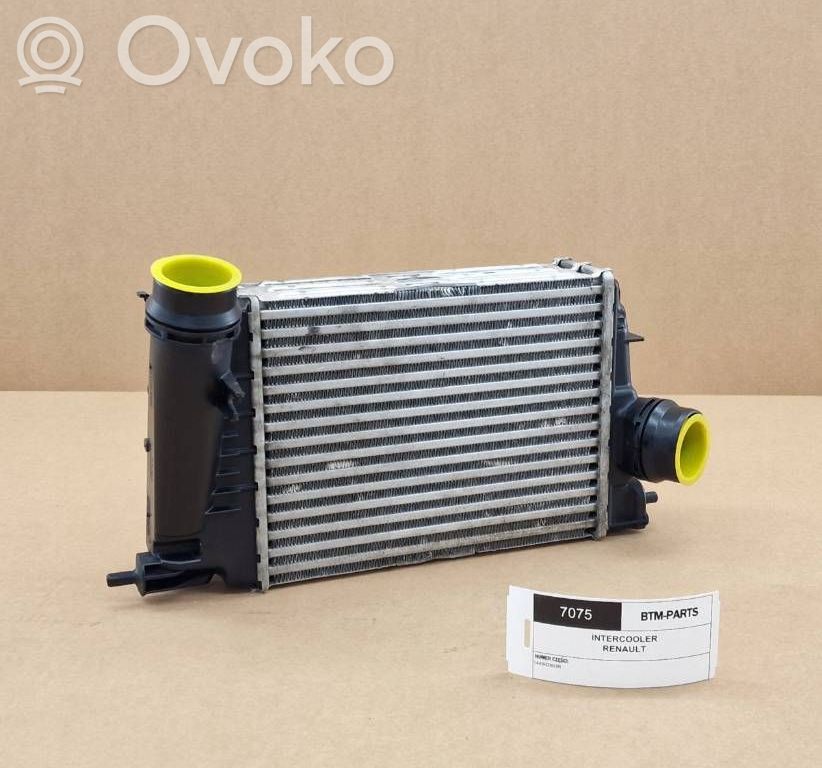 Renault Austral Radiatore intercooler 