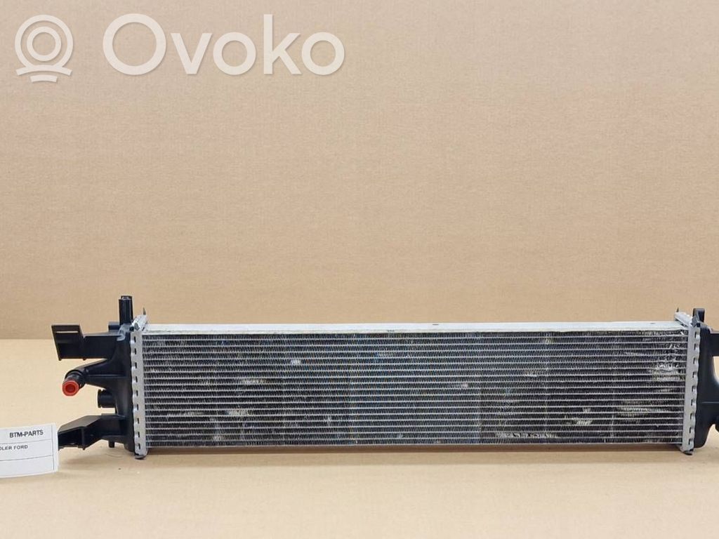 Interkūlerio radiatorius   8993,1862383,F1F18D048AB,18012718,59218,606032,701249,CR2461000P,FD2663