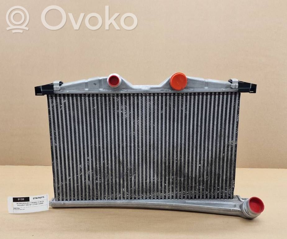Intercooler radiator   9159,0384N5,9688473580