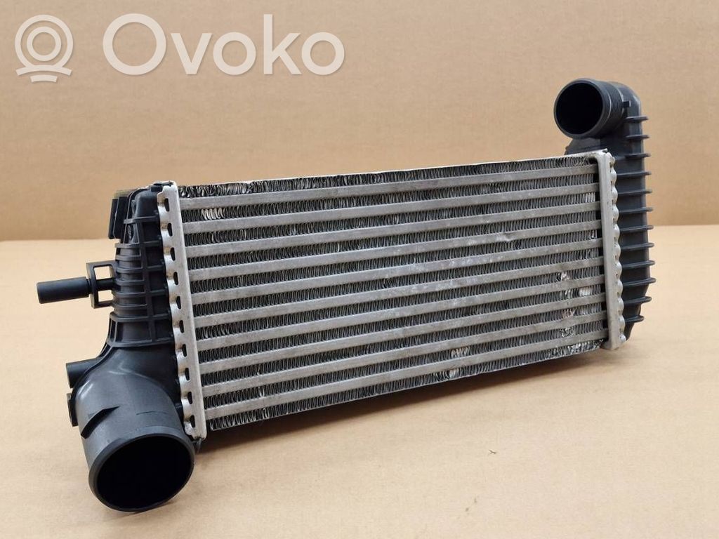 Intercooler radiator   2155,1796565,1803543,1823088,2027395,BV619L440CH,BV619L440CJ,BV619L440CK