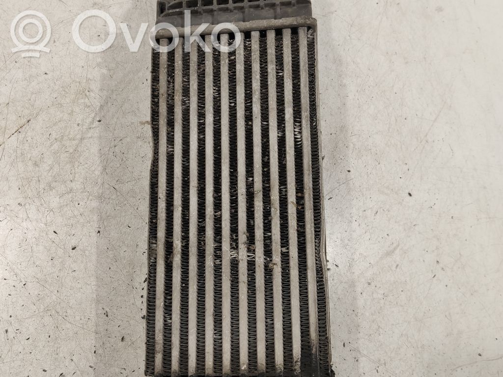 Peugeot 407 Intercooler radiator 