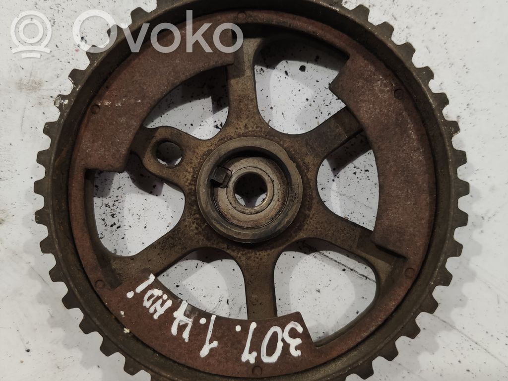 Peugeot 307 Crankshaft gear 