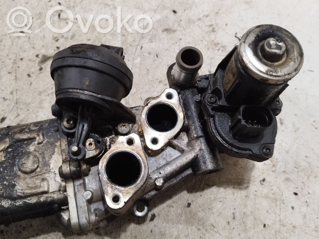 Volkswagen Golf VI Válvula EGR 