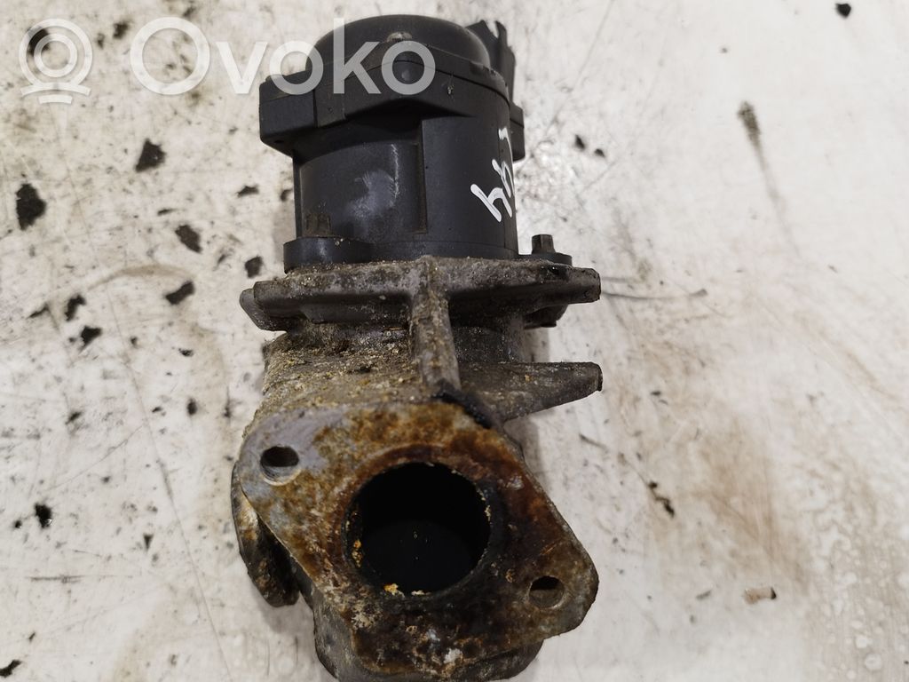 Ford Fiesta EGR valve 