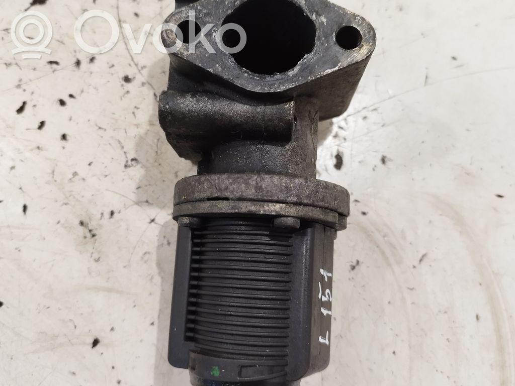 Válvula EGR   55215031