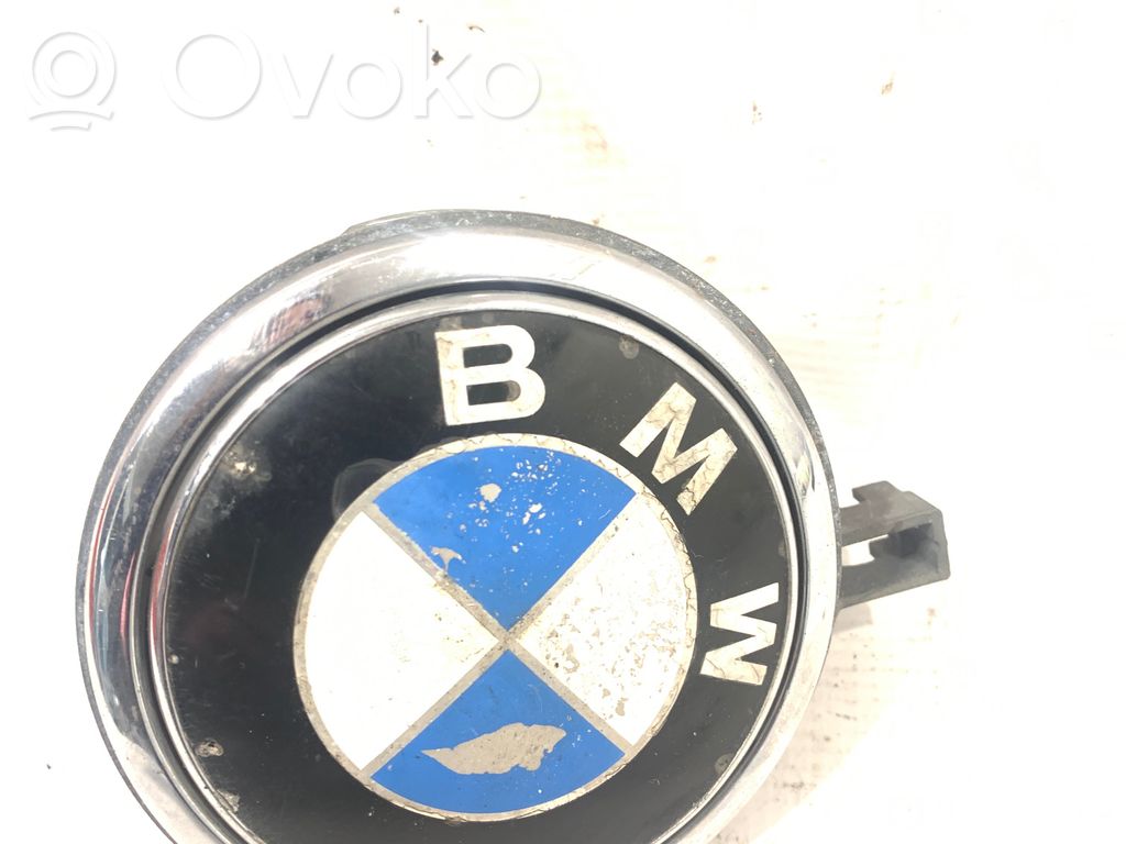 Tailgate trunk handle
