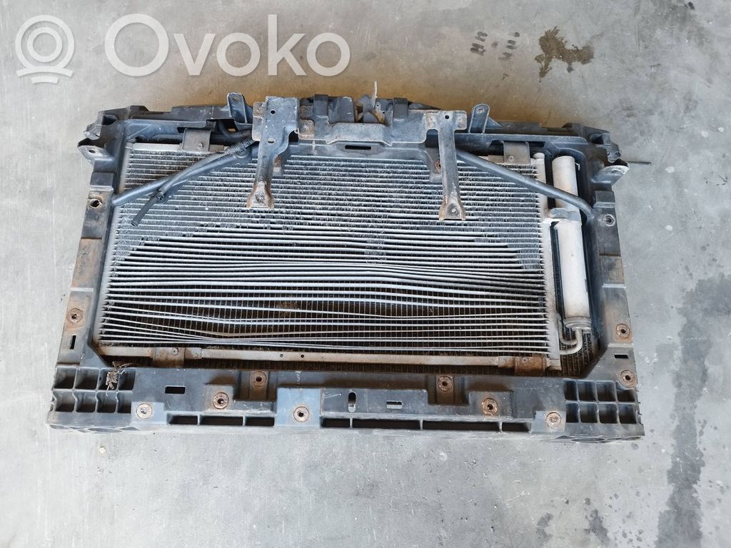 Radiatorių panelė   1250608