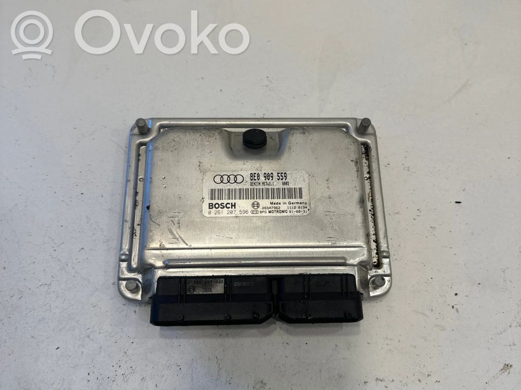 Audi A4 S4 B6 8E 8H Engine control unit/module 