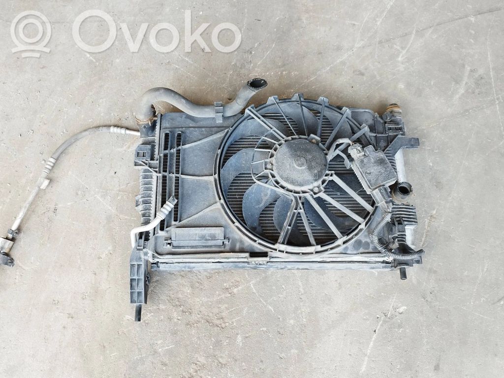 Ford Focus Radiatoru panelis 